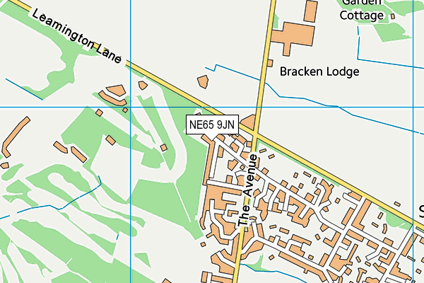 NE65 9JN map - OS VectorMap District (Ordnance Survey)