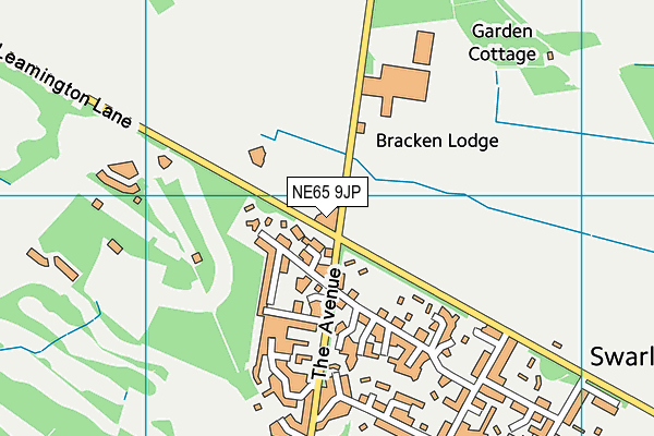 NE65 9JP map - OS VectorMap District (Ordnance Survey) NE65 9JP map - OS VectorMap District (Ordnance Survey)