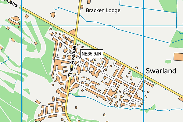 NE65 9JR map - OS VectorMap District (Ordnance Survey) NE65 9JR map - OS VectorMap District (Ordnance Survey)