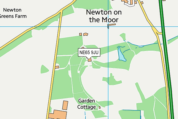 NE65 9JU map - OS VectorMap District (Ordnance Survey)