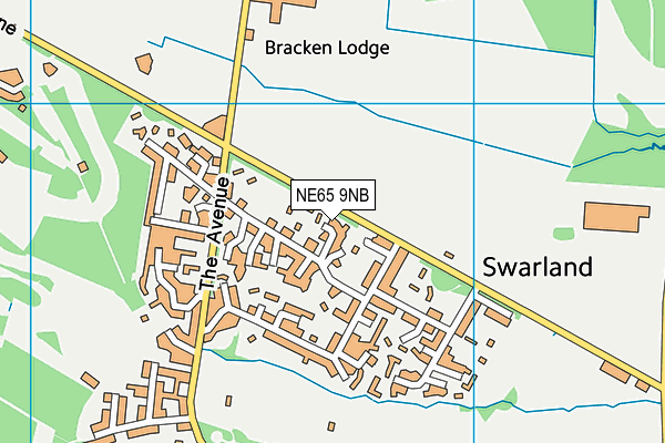 NE65 9NB map - OS VectorMap District (Ordnance Survey) NE65 9NB map - OS VectorMap District (Ordnance Survey)