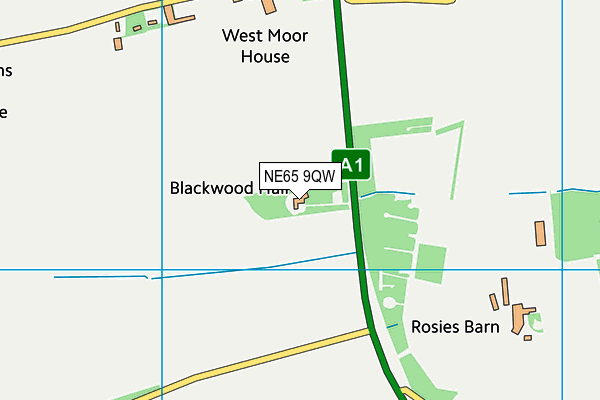 NE65 9QW map - OS VectorMap District (Ordnance Survey) NE65 9QW map - OS VectorMap District (Ordnance Survey)