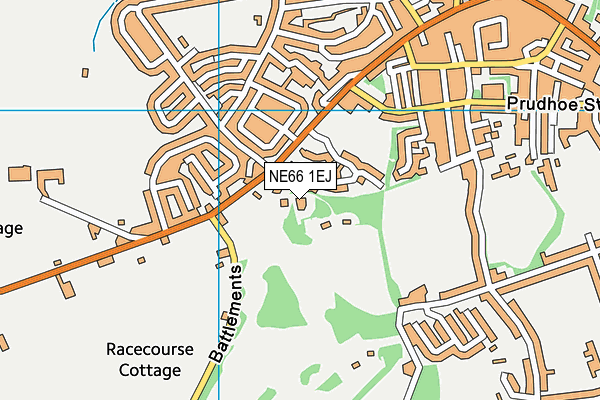 NE66 1EJ map - OS VectorMap District (Ordnance Survey) NE66 1EJ map - OS VectorMap District (Ordnance Survey)