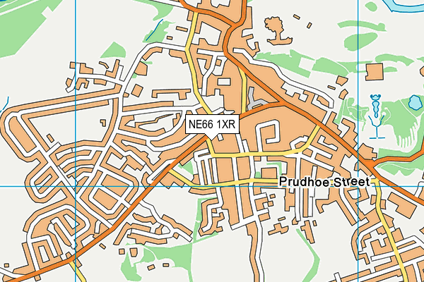 NE66 1XR map - OS VectorMap District (Ordnance Survey)