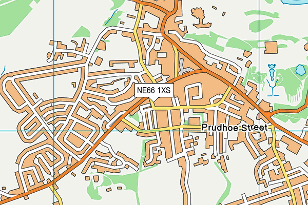 NE66 1XS map - OS VectorMap District (Ordnance Survey) NE66 1XS map - OS VectorMap District (Ordnance Survey)