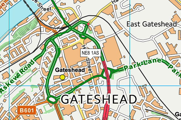 NE8 1AS map - OS VectorMap District (Ordnance Survey) NE8 1AS map - OS VectorMap District (Ordnance Survey)