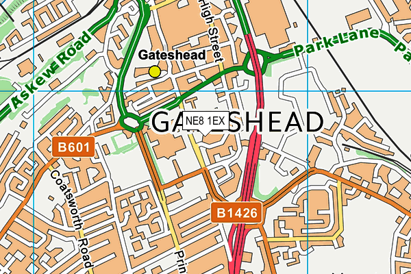 NE8 1EX map - OS VectorMap District (Ordnance Survey) NE8 1EX map - OS VectorMap District (Ordnance Survey)
