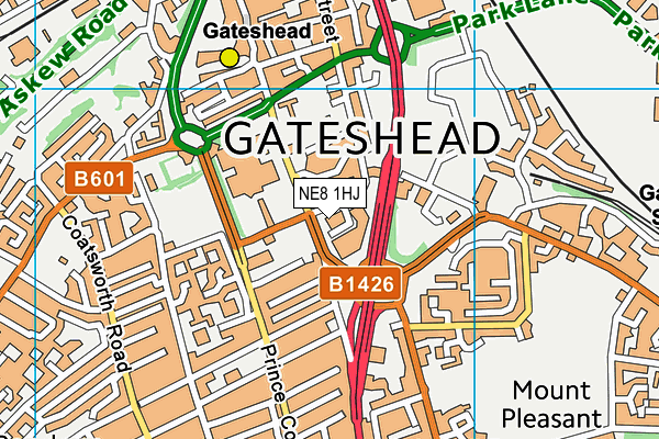 NE8 1HJ map - OS VectorMap District (Ordnance Survey) NE8 1HJ map - OS VectorMap District (Ordnance Survey)