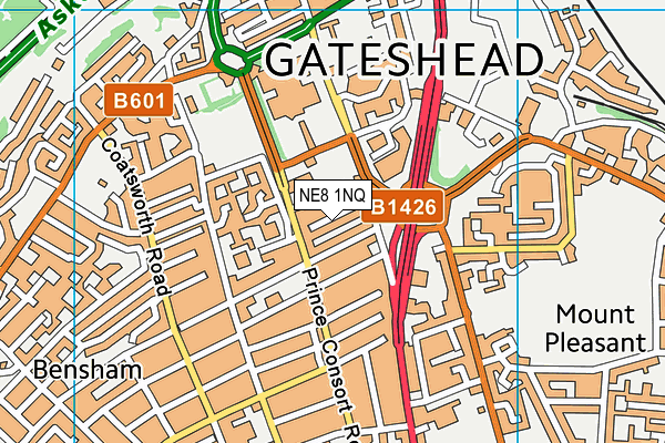NE8 1NQ map - OS VectorMap District (Ordnance Survey) NE8 1NQ map - OS VectorMap District (Ordnance Survey)