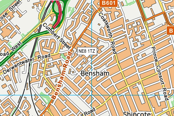 NE8 1TZ map - OS VectorMap District (Ordnance Survey) NE8 1TZ map - OS VectorMap District (Ordnance Survey)