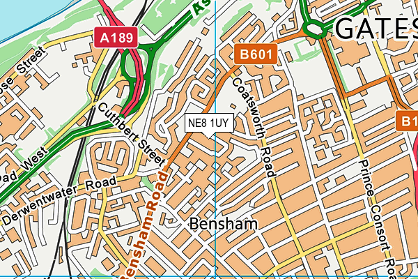 NE8 1UY map - OS VectorMap District (Ordnance Survey) NE8 1UY map - OS VectorMap District (Ordnance Survey)