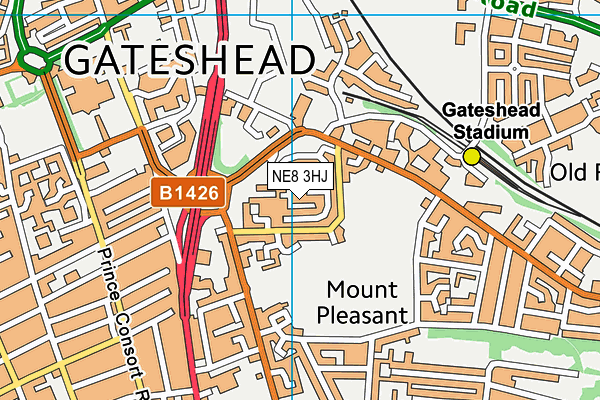 NE8 3HJ map - OS VectorMap District (Ordnance Survey) NE8 3HJ map - OS VectorMap District (Ordnance Survey)