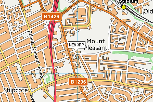 NE8 3RP map - OS VectorMap District (Ordnance Survey) NE8 3RP map - OS VectorMap District (Ordnance Survey)