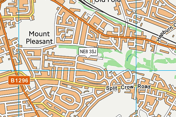 NE8 3SJ map - OS VectorMap District (Ordnance Survey) NE8 3SJ map - OS VectorMap District (Ordnance Survey)