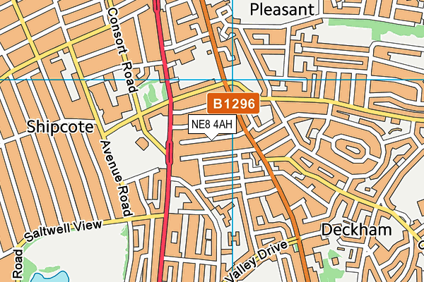 NE8 4AH map - OS VectorMap District (Ordnance Survey) NE8 4AH map - OS VectorMap District (Ordnance Survey)
