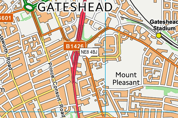 NE8 4BJ map - OS VectorMap District (Ordnance Survey) NE8 4BJ map - OS VectorMap District (Ordnance Survey)