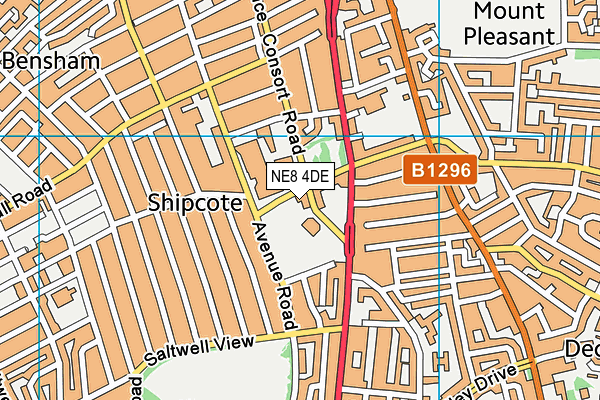 NE8 4DE map - OS VectorMap District (Ordnance Survey) NE8 4DE map - OS VectorMap District (Ordnance Survey)