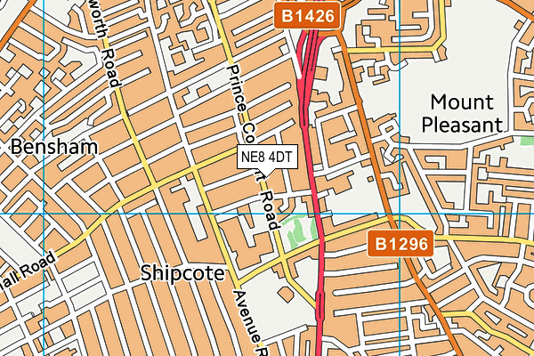 NE8 4DT map - OS VectorMap District (Ordnance Survey) NE8 4DT map - OS VectorMap District (Ordnance Survey)