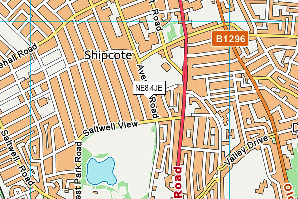 NE8 4JE map - OS VectorMap District (Ordnance Survey) NE8 4JE map - OS VectorMap District (Ordnance Survey)
