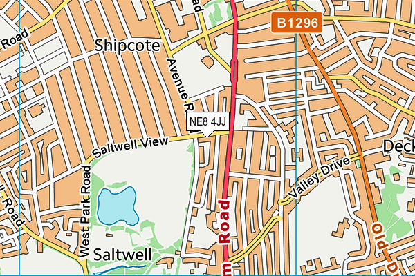 NE8 4JJ map - OS VectorMap District (Ordnance Survey) NE8 4JJ map - OS VectorMap District (Ordnance Survey)