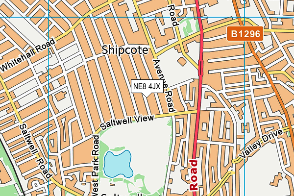 NE8 4JX map - OS VectorMap District (Ordnance Survey) NE8 4JX map - OS VectorMap District (Ordnance Survey)
