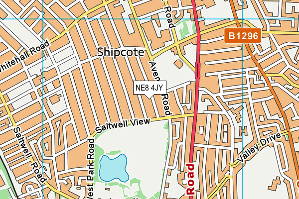 NE8 4JY map - OS VectorMap District (Ordnance Survey)