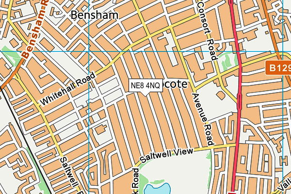 NE8 4NQ map - OS VectorMap District (Ordnance Survey) NE8 4NQ map - OS VectorMap District (Ordnance Survey)