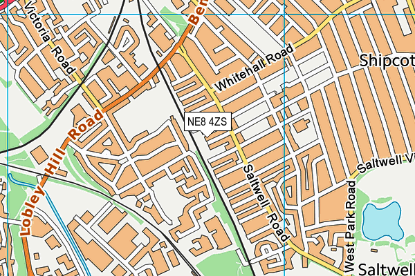 NE8 4ZS map - OS VectorMap District (Ordnance Survey) NE8 4ZS map - OS VectorMap District (Ordnance Survey)