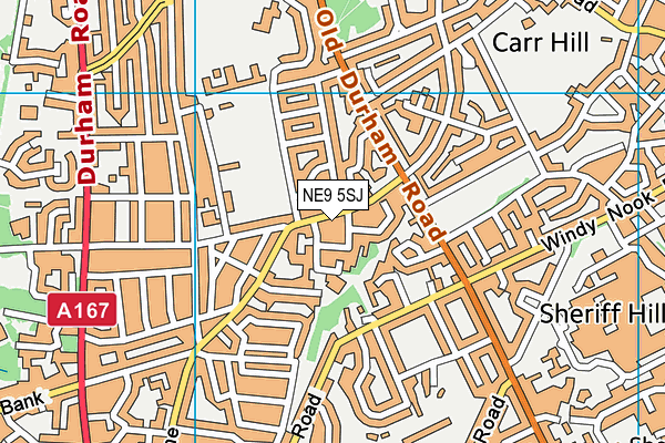 NE9 5SJ map - OS VectorMap District (Ordnance Survey) NE9 5SJ map - OS VectorMap District (Ordnance Survey)