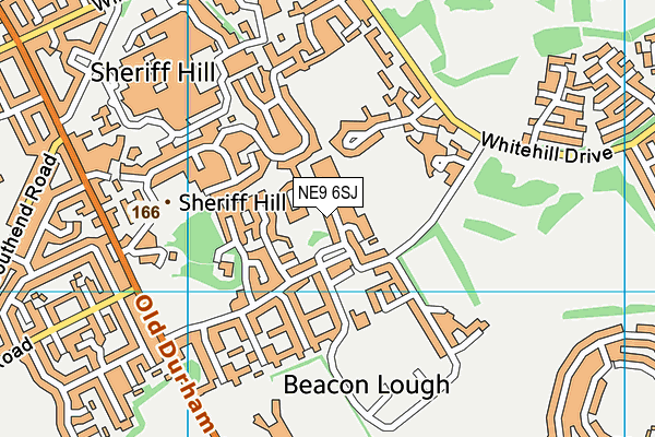 NE9 6SJ map - OS VectorMap District (Ordnance Survey) NE9 6SJ map - OS VectorMap District (Ordnance Survey)