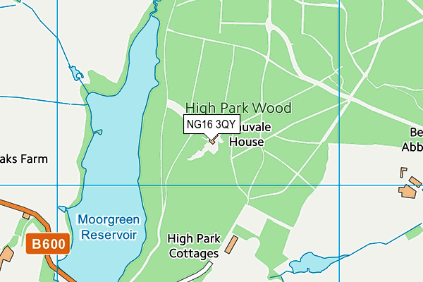NG16 3QY map - OS VectorMap District (Ordnance Survey) NG16 3QY map - OS VectorMap District (Ordnance Survey)