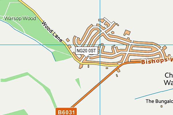 NG20 0ST map - OS VectorMap District (Ordnance Survey) NG20 0ST map - OS VectorMap District (Ordnance Survey)
