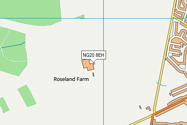 NG20 8EH map - OS VectorMap District (Ordnance Survey) NG20 8EH map - OS VectorMap District (Ordnance Survey)