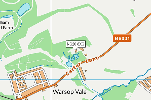 NG20 8XG map - OS VectorMap District (Ordnance Survey) NG20 8XG map - OS VectorMap District (Ordnance Survey)