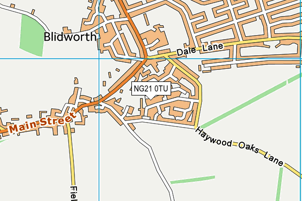 NG21 0TU map - OS VectorMap District (Ordnance Survey) NG21 0TU map - OS VectorMap District (Ordnance Survey)