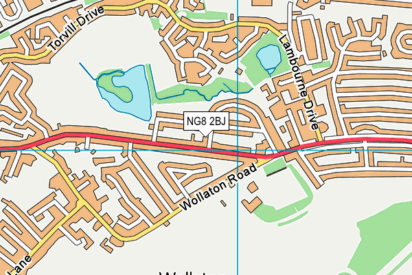 NG8 2BJ map - OS VectorMap District (Ordnance Survey) NG8 2BJ map - OS VectorMap District (Ordnance Survey)