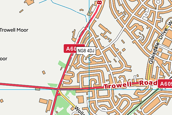 NG8 4DJ map - OS VectorMap District (Ordnance Survey) NG8 4DJ map - OS VectorMap District (Ordnance Survey)