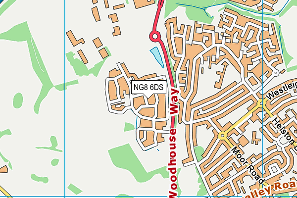 NG8 6DS map - OS VectorMap District (Ordnance Survey) NG8 6DS map - OS VectorMap District (Ordnance Survey)