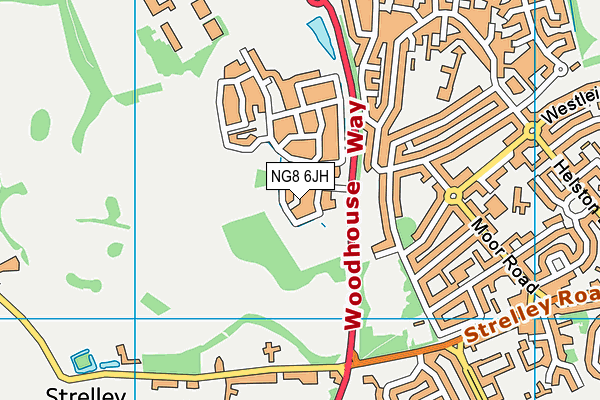 NG8 6JH map - OS VectorMap District (Ordnance Survey) NG8 6JH map - OS VectorMap District (Ordnance Survey)