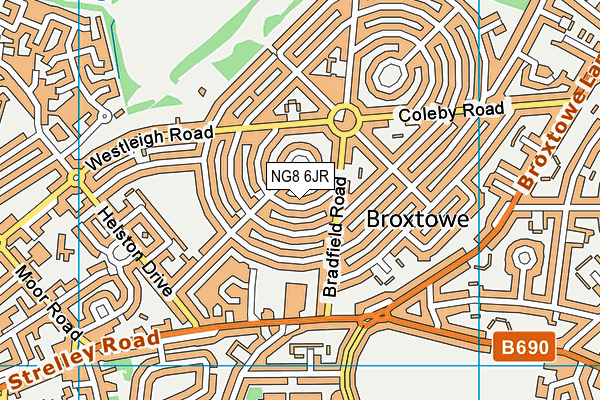 NG8 6JR map - OS VectorMap District (Ordnance Survey) NG8 6JR map - OS VectorMap District (Ordnance Survey)