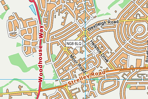 NG8 6LQ map - OS VectorMap District (Ordnance Survey) NG8 6LQ map - OS VectorMap District (Ordnance Survey)