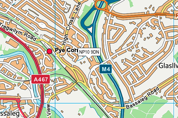 NP10 9DN map - OS VectorMap District (Ordnance Survey) NP10 9DN map - OS VectorMap District (Ordnance Survey)
