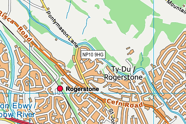 NP10 9HG map - OS VectorMap District (Ordnance Survey)