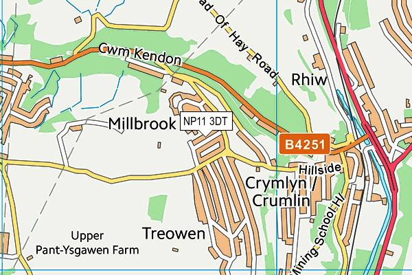 NP11 3DT map - OS VectorMap District (Ordnance Survey)
