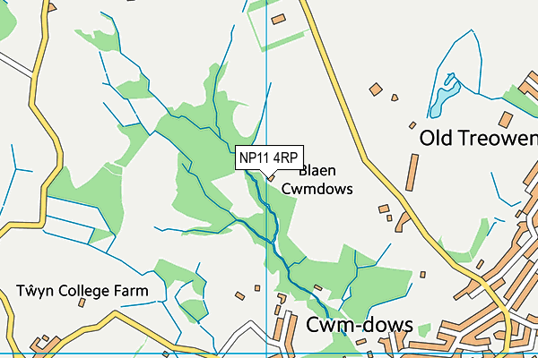 NP11 4RP map - OS VectorMap District (Ordnance Survey) NP11 4RP map - OS VectorMap District (Ordnance Survey)