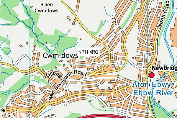 NP11 4RQ map - OS VectorMap District (Ordnance Survey)