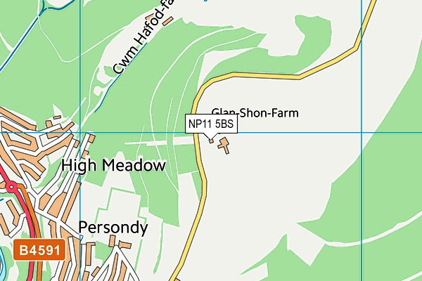 NP11 5BS map - OS VectorMap District (Ordnance Survey) NP11 5BS map - OS VectorMap District (Ordnance Survey)
