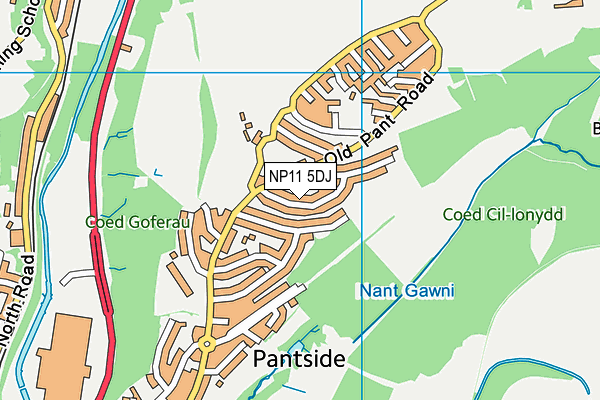 NP11 5DJ map - OS VectorMap District (Ordnance Survey) NP11 5DJ map - OS VectorMap District (Ordnance Survey)