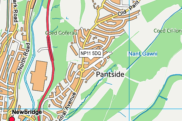 NP11 5DQ map - OS VectorMap District (Ordnance Survey) NP11 5DQ map - OS VectorMap District (Ordnance Survey)