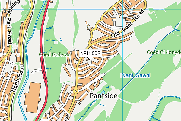NP11 5DR map - OS VectorMap District (Ordnance Survey) NP11 5DR map - OS VectorMap District (Ordnance Survey)
